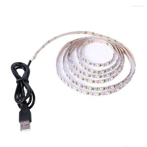 Strisce LED 5V USB 2835 Bianco Caldo Blu Rosso Verde Rosa Tira Strip Light TV Sfondo Illuminazione Nastro Decorazioni per la casa LampLED