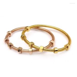 Bileklik vidalı bilezik titanyum çelik oval çift kadın yok taş gül altın bilezikler femme bijoux pulseira kutudan banbangle inte22