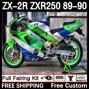 Ciało motocyklowe dla Kawasaki Ninja ZX2R ZXR250 ZX 2R 2 R R250 ZXR 250 89-98 Bodywork 8DH.73 ZX2 R ZX-2R ZXR-250 89 90 ZX-R250 1989 1990 Pełny zestaw Fairings Srebrny Zielony Zielony