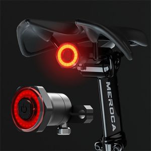 LISM Smart Bicycle Tail Rear Light Auto Start Stop Brake IPX6 Waterproof USB Charge Cycling Tail Taillight Bike LED Lights 220721