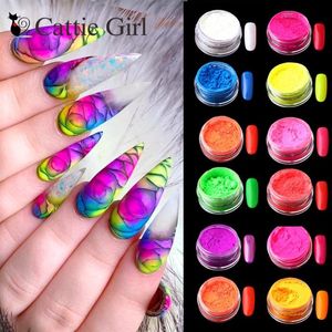 12 colori / set Neon Pigment Polvere per unghie Polvere Ombre Glitter per unghie Gradiente Glitter Iridescente Polvere acrilica Decorazione per unghie331Y