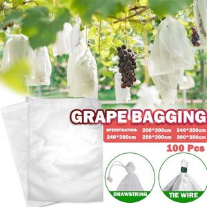 100Pcs Grapes Bags Net For Vegetable Grapes Fruit Protection Grow Bag from OS Mesh Against Insect Pest ControlBird Home Garden 220714