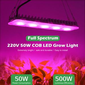 LED Grow Light 50w Full Spectrum Lamp Phyto Bulb Plant Growth Lamps Hydroponic Light Flower Seeds Tent 85-265V