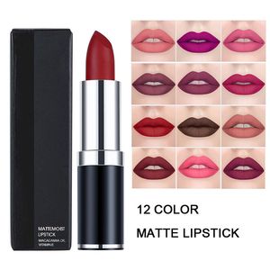 Mais novo Batom Fosco Hidratante Veludo À Prova D' Água Brilho Labial de Longa Duração Lip Stick Lip-stain Lip-glow Lip-bálsamo Maquiagem Cosmética Beleza Atacado ZL0866