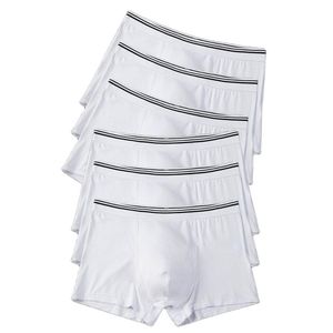 Underpants Pcs White Men Boxers Briefs Cotton Bottom Wedding Shorts Underwear Modal Undies Panties Under Clothes UndershortsUnderpants