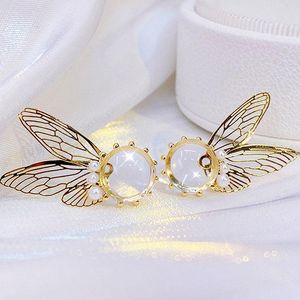 Clip-on Vite posteriore Coreano Delicato disegno a farfalla vuota Perla Orecchini trasparenti Placcatura in oro reale 14k Elegante per le donne Ea squisito