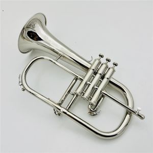 Novo BB Flugelhorn Silver Plated Instruments Professional com bocal de casos