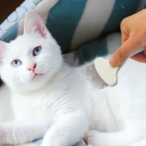 Kedi oyuncakları m Saçları çıkarın açık düğüm kedileri pençe pençe pençe açık düğüm temizleme güzellik belleği tarak dişleri dişler
