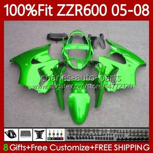 Spritzgusskörper für KAWASAKI NINJA 600CC Metall grün ZZR600 05 06 07 08 Karosserie 134Nr.25 100 % passend für ZZR-600 600 CC 05-08 ZZR 600 2005 2006 2007 2008 OEM-Verkleidungsset