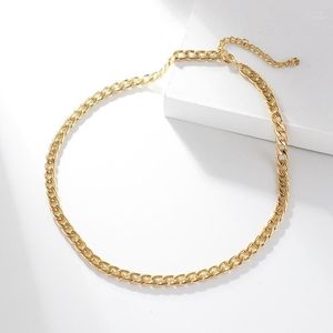 Chokers Gojomem Gold-plated Chunky Chain Necklace Punk Hip-hop Basic Style Necklaces For Women And Men Fashion 2022Chokers Godl22