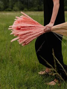 Gäng naturlig torkad bulrush små pampas gräsrosa phragmites communis vass fotografering växt bröllop blommor heminredning