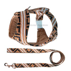 Designer Dog Harness and Leases Set Classic Letter Mönster Hundar sele Inget choke över huvudet mjukt bomullsjusterbart bröstbälte och snabbfrisättning liten brun B136