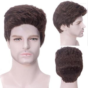 Sentetik peruklar kısa erkekler doğrudan erkek saçları için peruk, tobi22 kullanarak günlük gerçekçi doğal kahverengi toupee