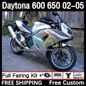 Kit de quadro para Daytona 650 600 cc 02 03 04 05 Bodywork 7dh.23 Cowling Daytona 600 Daytona650 2002 2003 2004 2005 Body Daytona600 02-05 Motorcycle Fairing Gloss Silver prateado