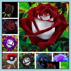 Other Garden Supplies Patio Lawn Home Black Rose Seeds With Red Edge Rare Color Flower Seed Perennial Bush Or Bonsai For Garde Drop Deli