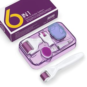 DRS 6 в 1 Beauty MicroIgle Roller Set 250 Игл Микровигазы