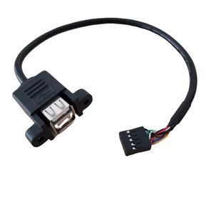 DuPont 10PIN/9PIN Женский до двойного USB тип панели ADAPTER DAPTER DAPTER CABLE 30CM