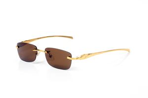 Clear Frame Solglasögon Designer Vintage Women Män varumärke Summer Shades Colored Lenses Alloy Eye Glasses Nytt Leopard Fashion kommer med Origina Box 77sh