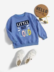 Toddler Boys Lightning Brev Grafisk Sweatshirt Hon