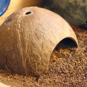 Réptil ocultar habitat Natural Coconut Shell Lizard Spider Small Animal Cave House 0704