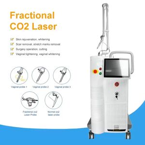 CO2 Fractional Laser Pigmentation Removal Skin Tightening Wrinkle Remover Machine Vertical Type Ance Treatment Body Firming Stretch Mark Fade Anti-aging Device