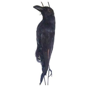 2021 Fake Bird Realistic Hanging Dead Crow Decoy Lifesize Extra Stora Black Feathered Crow Garden Bird Garden Decor T220801