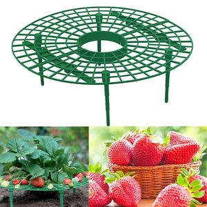 Planta Plástica Ferramentas de Morango Plantando Círculo Suporte Agricultura Frame Frame Garden Garden Fornecedores Frutas Bandeja Gaiola LX4705