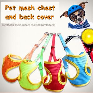 Urocza śliczna uprząż Pet Collar Supplies Chihuahua Dog Leash Lead Set Set Pet Shop Cat Lina Łatwy do umieszczania małych średnich psów MJ0451