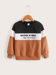 Toddler Boys Slogan Graphic Colorblock Sweatshirt SHE