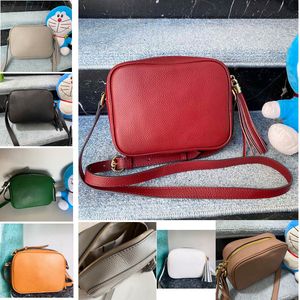 Klasyczne 2024 Tassel Designers Torby dla kobiet Crossbody Desginers Camera Crossbody Bag Danies torebki TOSES Rozmiar: 22 cm