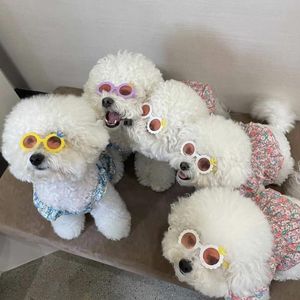 Hundkläder PET CAT SUNGLASSES CREATIV POGRAFI PROPPS Valpglasögon för Bichon Poodle Små hundkatter Tillbehörsförnödenheter