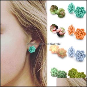 Stud Earrings Jewelry Fashion Casual Cute Colorf Succent Plants Plastic Posts For Plant Lovers Just One Drop Delivery Sg1Bj
