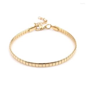 Bracelets Link Chain Fashion 304 en acier inoxydable Gold Color Snake for Women Men Hommes Vintage Bijoux Cadeaux 18,5 cm de long 1 Pajelink
