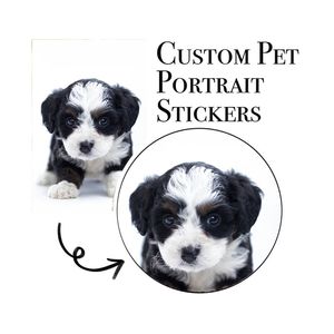 PET NAME Stickers Custom Wedding Sticker Personalized Design Your Label Idea for Dog Cat Animal Lovers 220622