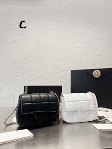 Projektanci torba na ramię luksusowa torebka torebki torebki komunikatowe Cluth najwyższej jakości klasyka klasyczna skórzana skóra oryginalne pudełko mini 17 cm złota łańcuch