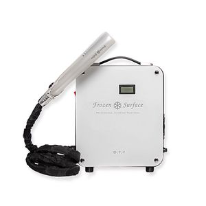 Salon Professional Freeze Surface Machine Hair Curling Freezing Ice Cold Treatment Frozen Flat Iron