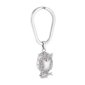 Nyckelringar IJK2045 Rostfritt stål Oval Animal Urn Keychain Pet Ashes Pendant Charm Key Chain Ring Holder Cremation Jewelry