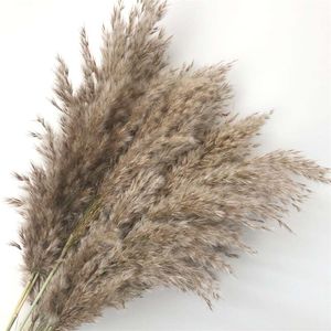 40 cm / çiçek kulak 15 ~ 30 cm, 15 adet Gerçek Kurutulmuş Doğal Pampas Çim Reed Çiçekler, Kuru Phragmites Küçük Bulrush Buket, Ev Dekorasyonu 220408