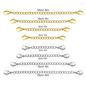 Chains Wholesale 8pcs/lot 316L Plating Extended Chain Necklace Stainless Steel Rolo Gold Color 2 3 4 6 Inch ChainChains Elle22