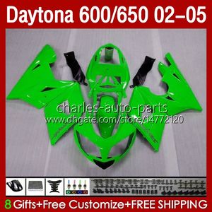 Kit de carroçaria para Daytona 600 650 CC Daytona650 02-05 Cowling 104HC.20 Amarelo à venda Daytona600 2002 2003 2005 Bodys Daytona 600 02 03 04 Fairings