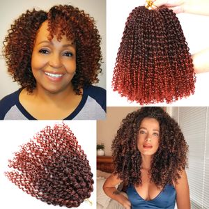 8 Zoll Marlybob Häkelhaarverlängerungen Passion Twist Afro Kinky Curly Braids Ombre Synthetische Flechtverlängerung für Frauen LS05