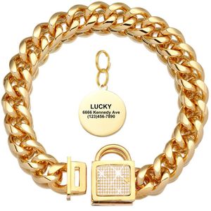 Hundhalsar Leases Gold Chain Collar Halsband Holiday Party Decoration för litet medium stort rostfritt stål med personlig ID -tagg