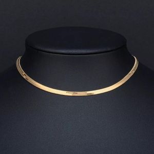 Kedjor 100% rostfritt stål platt fiskbenskedja Halsband för kvinnor Guld Silver Färg Nyckelbensblad Snake Choker Halsband 2,5 mm/3 mm