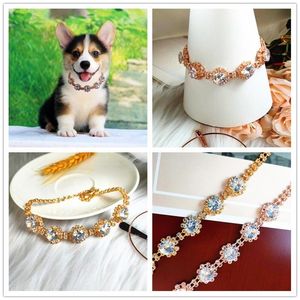 Hundhalsar kopplar fem diamantblomma halsband justerbara kattsmycken krage valp husdjur valpar halsband kattunge accesoriesdog