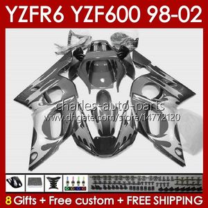 Verkleidungsset für Yamaha glänzend grau YZF 600 CC YZF-600 YZF R6 R 6 98–02 Karosserie 145Nr