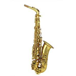 Hochwertiges Altsaxophon mit klassischer Struktur und Goldlack