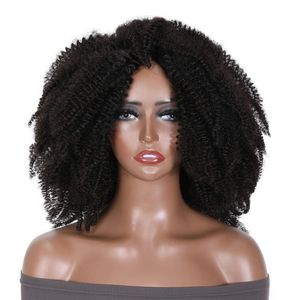 Afro Winky Wave Spiral Curl Wigs African Curly Wig Afro Hair