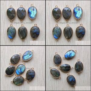 Pendant Necklaces Pendants Jewelry Natural Labradorite Stone Section Water Drop Gold Color Connector Pen Dhkns