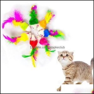 Tolorf Cat Toys Прекрасная мышь для кошек Собаки Смешные веселые Играют содержание Catnip Pet Saceates Drop Доставка 2021 Главная Сад OQ5IF