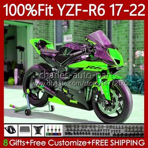 Órgão de Injeção para Yamaha YZF-600 YZF R6 R 6 600 CC 2017-2022 Bodywork 119No.169 YZF-R6 YZFR6 17 18 19 2020 2021 2022 YZF600 2017 2018 2019 20 21 22 Luz verde Fairing OEM